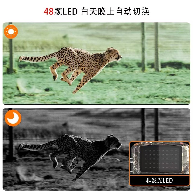 กล้องล่าสัตว์ DL001 ลดราคาพิเศ - Hunting Outdoor Camera บทวิจารณ์และราคา
