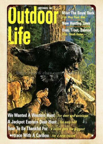 ของตกแต่งผนังสำนักงาน ปี 1967  - Hunting Dog Outdoor บทวิจารณ์และราคา
